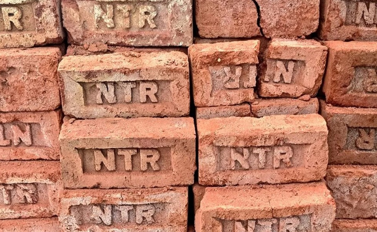 Bollywood News: Junior NTR के फैन ने घर की ईंटों पर गुदवाया सुपरस्टार का नाम, दीवानगी की सारी हदें पार