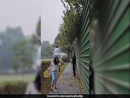 Watch: Kiren Rijiju Enjoys Plucking Fresh Lemons With Daughter Mysha Watch: Kiren Rijiju Enjoys Plucking Fresh Lemons With Daughter Mysha