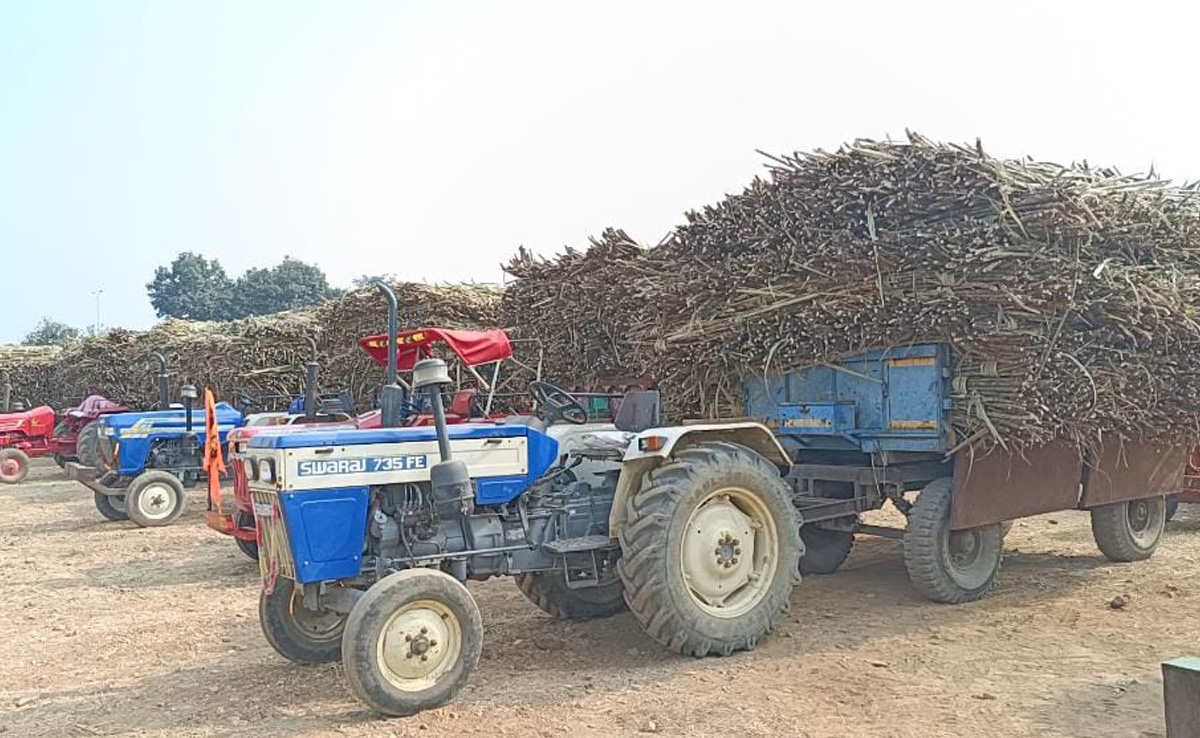 CG News : गन्ने की खेती से कवर्धा को मिली नई पहचान, देश के टॉप शक्कर कारखानें हैं यहां