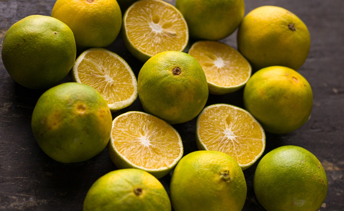 Latest and Breaking News on NDTV Latest and Breaking News on NDTV