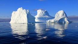How A Melting Iceberg Is Reshaping Marine Ecosystems