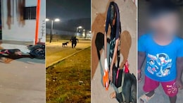 How Sniffer Dog 'Leo' Found Missing Mumbai Child, 6, Within Hours