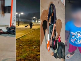 How Sniffer Dog 'Leo' Found Missing Mumbai Child, 6, Within Hours How Sniffer Dog 'Leo' Found Missing Mumbai Child, 6, Within Hours