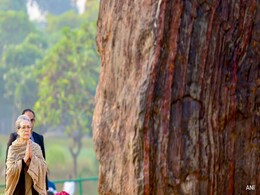 "Valiant Crusader Of People's Causes": Sonia Gandhi Remembers Indira Gandhi On Her Birth Anniversary "Valiant Crusader Of People's Causes": Sonia Gandhi Remembers Indira Gandhi On Her Birth Anniversary