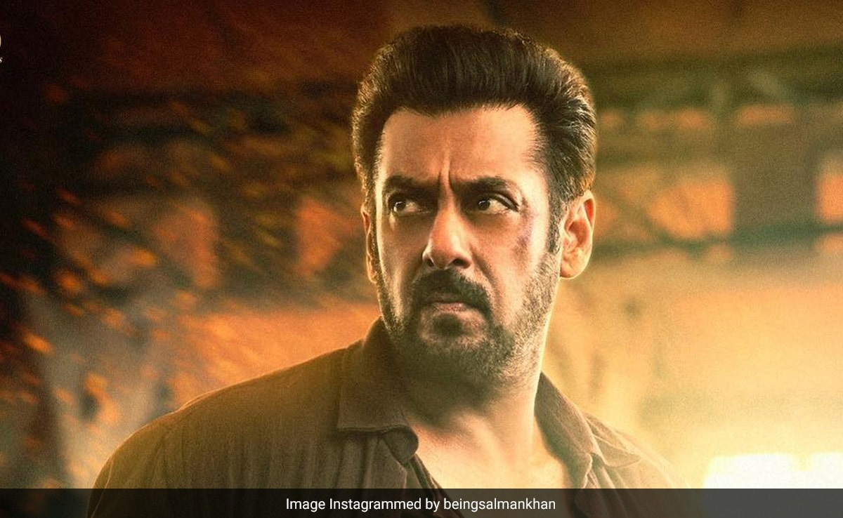 सलमान की Tiger 3 का तूफान जारी, 2 दिन में कमाई 100 करोड़ के पार