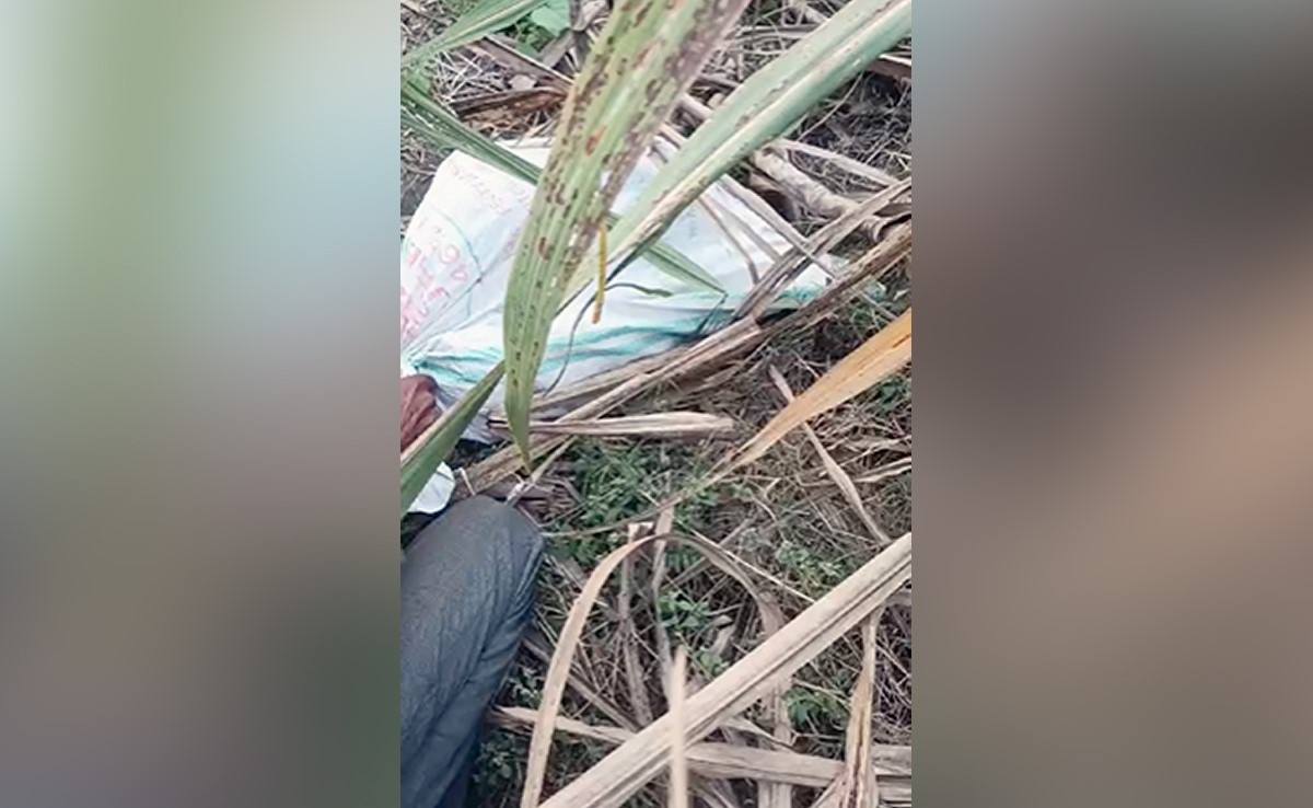 UP में दिनदहाड़े बच्चों का अपहरण, खेत में बोरी के भीतर बंधे मिले मासूम;मुंह पर चिपका था टेप