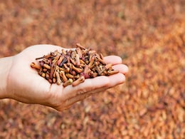 Diwali 2023: दीवाली पर पूजा में इस तरह लौंग का करें इस्तेमाल, मान्यतानुसार मिल सकता है शुभ फल Diwali 2023: दीवाली पर पूजा में इस तरह लौंग का करें इस्तेमाल, मान्यतानुसार मिल सकता है शुभ फल