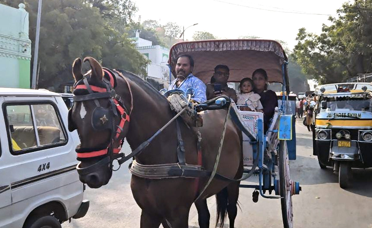 अमजेर: कभी शाही सवारी हुआ करता था तांगा, आज अस्तित्व बचाने की जद्दोजहद से जूझ रहे चालक