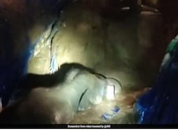 तालाब में गिरने के बाद पानी में फंसा हाथी, वन विभाग की टीम ने किया रेस्क्यू तालाब में गिरने के बाद पानी में फंसा हाथी, वन विभाग की टीम ने किया रेस्क्यू