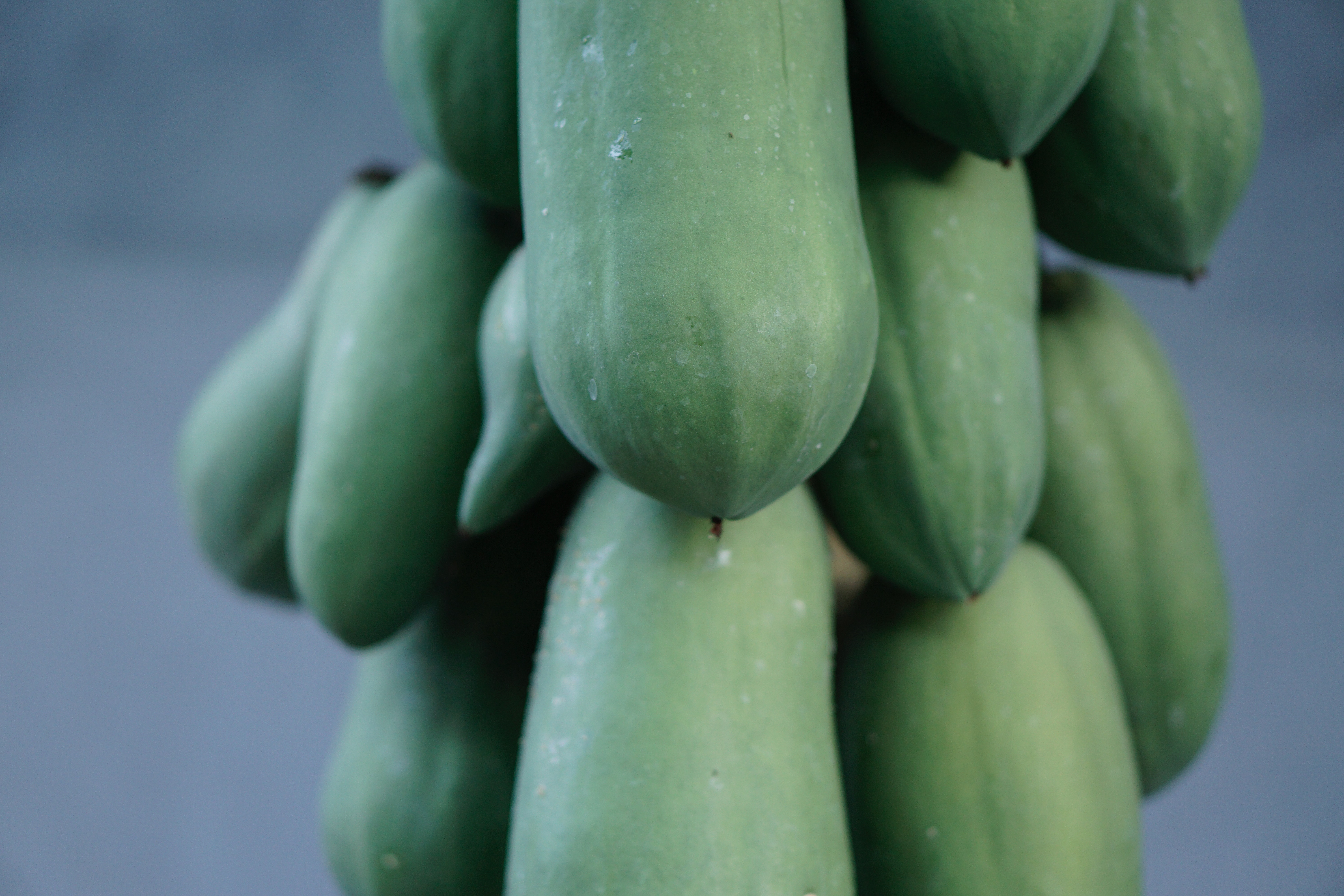 Raw papaya has compounds like isothiocyanates and flavonoids that have shown anti-cancer properties