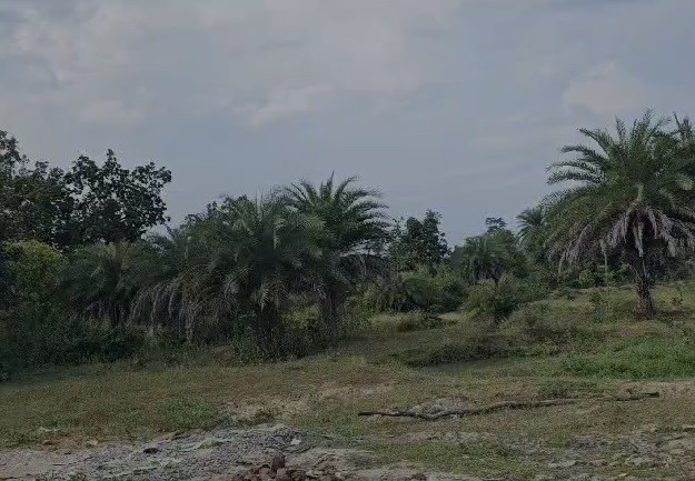 Gunfight Between Maoists, Paramilitary Force In Chhattisgarh's Sukma