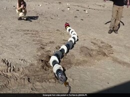 NASA's Latest Snake Robot Aims For Space, Brain Behind It Is An Indian NASA's Latest Snake Robot Aims For Space, Brain Behind It Is An Indian