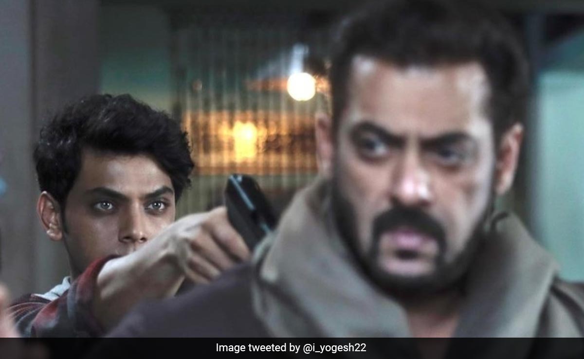 Tiger 3 Box Office Collection Day 14: टाइगर 3 की दोगुनी हुई रफ्तार, 14वें दिन की कमाई देख फैंस कहेंगे- हारा नहीं टाइगर Tiger 3 Box Office Collection Day 14: टाइगर 3 की दोगुनी हुई रफ्तार, 14वें दिन की कमाई देख फैंस कहेंगे- हारा नहीं टाइगर