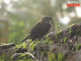 MP Weather Today: मध्य प्रदेश के मौसम में बदलाव, तेजी से बढ़ेगा सर्दी का सितम! आज भी छाया कोहरा MP Weather Today: मध्य प्रदेश के मौसम में बदलाव, तेजी से बढ़ेगा सर्दी का सितम! आज भी छाया कोहरा