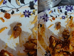 Hyderabad Resident Finds Cockroach In Zomato-Ordered Biryani. Reddit Reacts Hyderabad Resident Finds Cockroach In Zomato-Ordered Biryani. Reddit Reacts