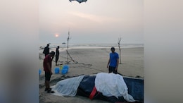 Baby Blue Whale Washed Ashore Pushed Back Into Sea After 40 Hours In Maharashtra