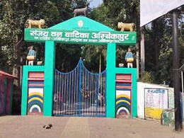 सरगुजा: उपेक्षा से बढ़ी संजय पार्क की दुर्दशा, सौंदर्यीकरण के लिए न बजट, न चौकीदार सरगुजा: उपेक्षा से बढ़ी संजय पार्क की दुर्दशा, सौंदर्यीकरण के लिए न बजट, न चौकीदार