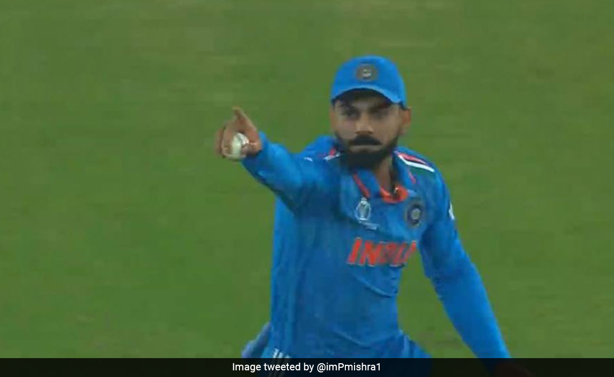 Watch: Virat Kohli's Celebration Goes Viral After Taking Catch To Dismiss David Warner During Cricket World Cup 2023 Final