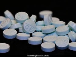 No Visas For Indian Businesspersons, Family With Drug Trafficking Links: US