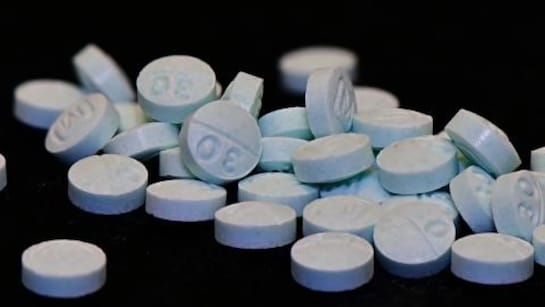 No Visas For Indian Businesspersons, Family With Drug Trafficking Links: US