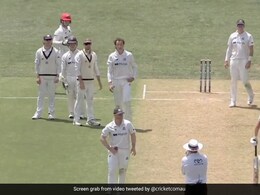 Watch: This 'Spirit Of Cricket' Moment In Australia's Sheffield Shield Wins Over Internet