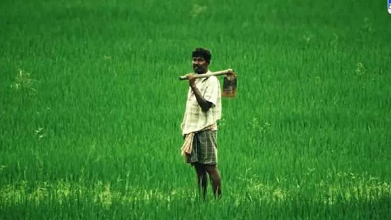 मध्यप्रदेश में किसान क्यों हैं परेशान? सरकारी दावों की हकीकत देखिए