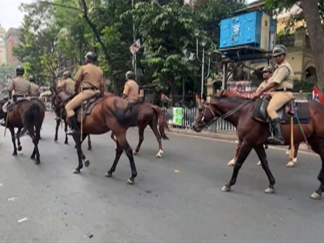 Police Horse Dies Of Heart Attack After Firecrackers Set Off At Eden Gardens