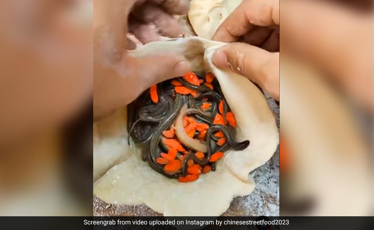 मोमोज़ खाने वाले सावधान! ज़िंदा कीड़े को भर कर सबको खिला रहा है शख्स, वीडियो विचलित कर देगा