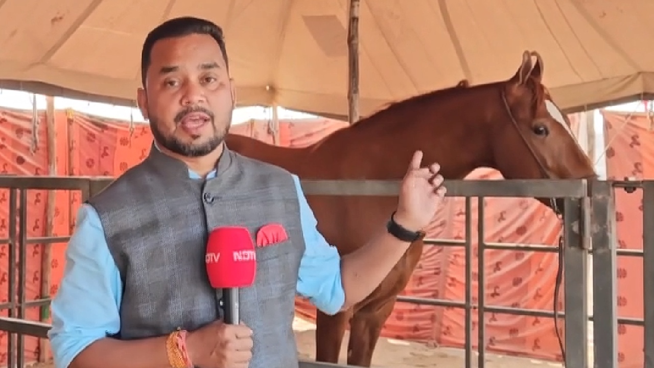 Rajasthan Ajmer: मारवाड़ी नस्ल का घोड़ा कीमत 11 करोड़, चैरिटी पर लगाया जाएगा पैसा