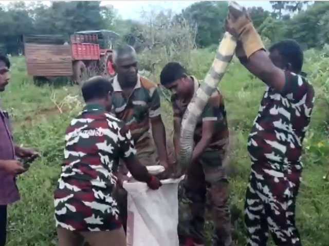 तमिलनाडु की फैक्ट्री से 15 फुट लंबे कोबरा को किया गया रेस्क्यू