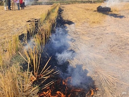 Over 500 Incidents Of Stubble Burning Reported In Punjab Today Over 500 Incidents Of Stubble Burning Reported In Punjab Today