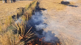 Satellite Data Shows Punjab Farm Fires Lowest In 3 Years