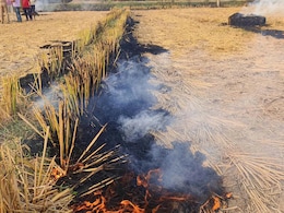 Satellite Data Shows Punjab Farm Fires Lowest In 3 Years