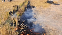 Punjab Saw Dip In Farm Fires Incident From September 15-October 21: Data