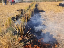 Punjab Saw Dip In Farm Fires Incident From September 15-October 21: Data