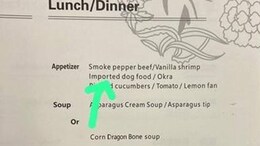 Wait, What? China Eastern Airlines' Menu Features "Imported Dog Food"