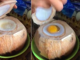 Coconut Egg Is The Latest Bizarre Food Combo On Twitter, Would You Try It? Coconut Egg Is The Latest Bizarre Food Combo On Twitter, Would You Try It?