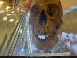 Anthropologist Discovers Real Human Skull In US Antique Store Anthropologist Discovers Real Human Skull In US Antique Store