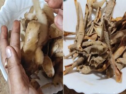 आलू के छिलके से चिप्स बनाने वाले मास्टर शेफ इंडिया के इस कंटेस्टेंट का वीडियो हुआ वायरल, लोग बोले- अब ये डिश 850 रुपए प्लेट मिलेगी आलू के छिलके से चिप्स बनाने वाले मास्टर शेफ इंडिया के इस कंटेस्टेंट का वीडियो हुआ वायरल, लोग बोले- अब ये डिश 850 रुपए प्लेट मिलेगी
