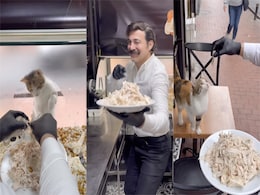 Viral Video: Istanbul's Chef Cooks Up A Storm For Stray Cat, Internet Can't Get Enough Viral Video: Istanbul's Chef Cooks Up A Storm For Stray Cat, Internet Can't Get Enough