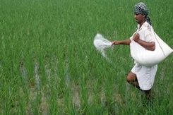 इंदौर में यूरिया के संकट से परेशान हैं किसान, देखिए NDTV की ये रिपोर्ट इंदौर में यूरिया के संकट से परेशान हैं किसान, देखिए NDTV की ये रिपोर्ट