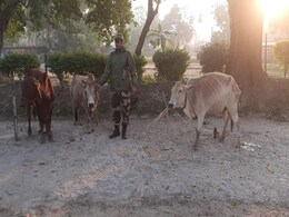 भारत-बांग्लादेश सीमा पर निगरानी में ड्रोन की प्रभावी भूमिका, कई मवेशी जब्त; तस्करी और घुसपैठ में भी कमी भारत-बांग्लादेश सीमा पर निगरानी में ड्रोन की प्रभावी भूमिका, कई मवेशी जब्त; तस्करी और घुसपैठ में भी कमी