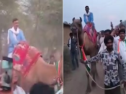 नेता जी का अनोखा अंदाज! ऊंट पर सवार होकर वोट मांग रहे कांग्रेस उम्मीदवार, देखें अनोखा वीडियो नेता जी का अनोखा अंदाज! ऊंट पर सवार होकर वोट मांग रहे कांग्रेस उम्मीदवार, देखें अनोखा वीडियो