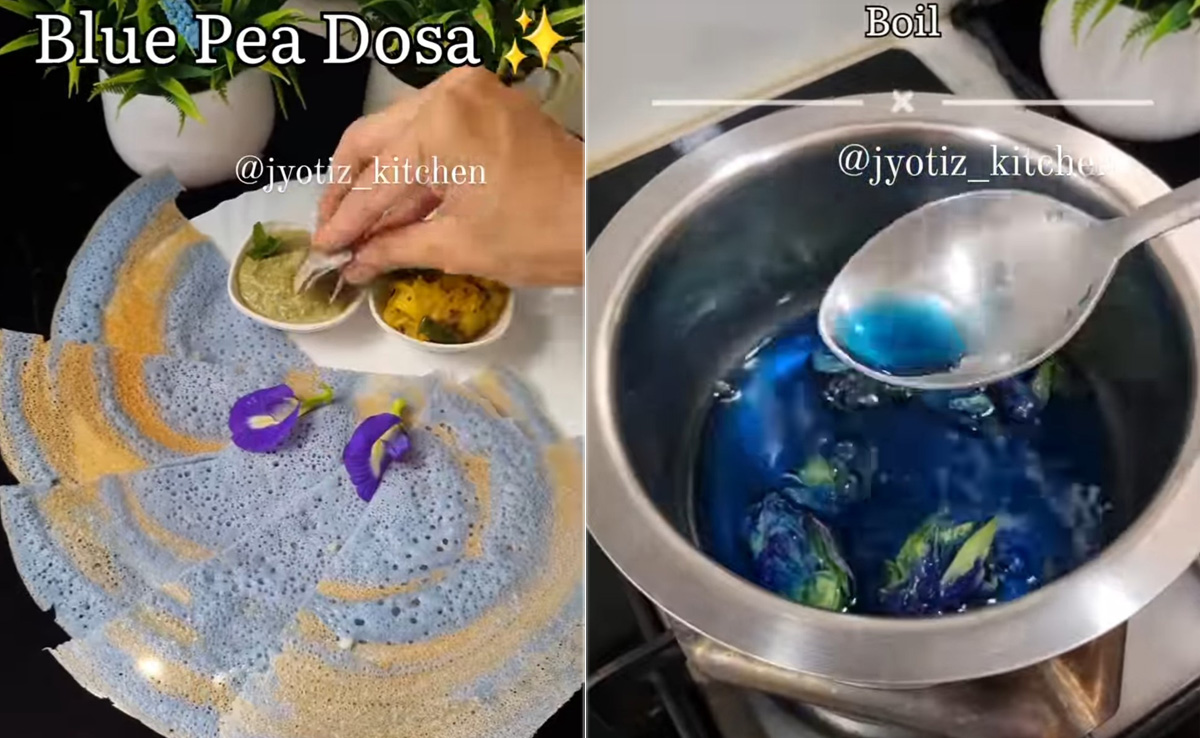 Watch: Blue Pea Dosa Is The New Viral Experiment On The Block. Internet Is Divided