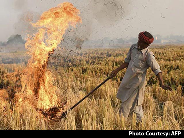 "Farmer Being Made Villain": Supreme Court's Top Quotes On Stubble Burning