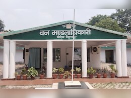 कोरिया के ये अधिकारी मौज में, 15 साल से नहीं हुआ तबादला, हर साल मिलता है प्रमोशन