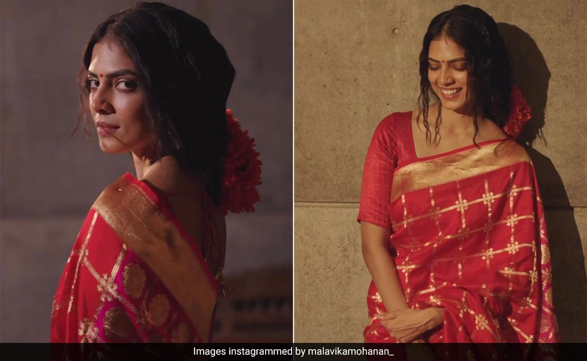 Malavika Mohanan's Red And Gold Woven Saree Makes Us Want To Revisit The Festivities