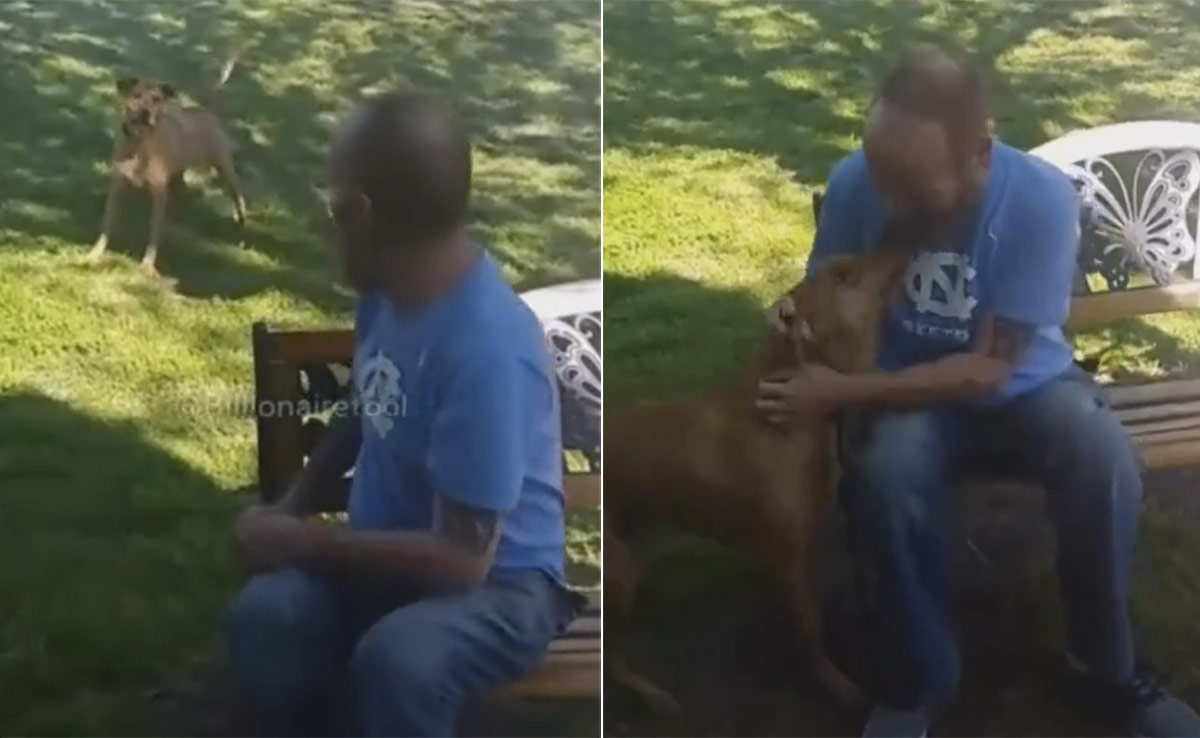 वजन कम करने के बाद मालिक को नहीं पहचान पाया डॉगी, फिर शख्स ने किया कुछ ऐसा जिसे देख आप भी हो जाएंगे इमोशनल