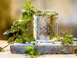 Health Benefits Of Consuming Raw Tulsi Leaves
