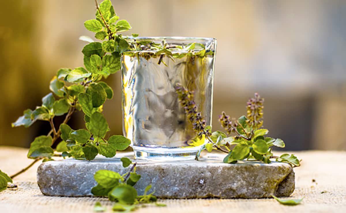 10 Ayurvedic Herbs Rich In Vitamins & Why We Should Incorporate Them In Our Diet